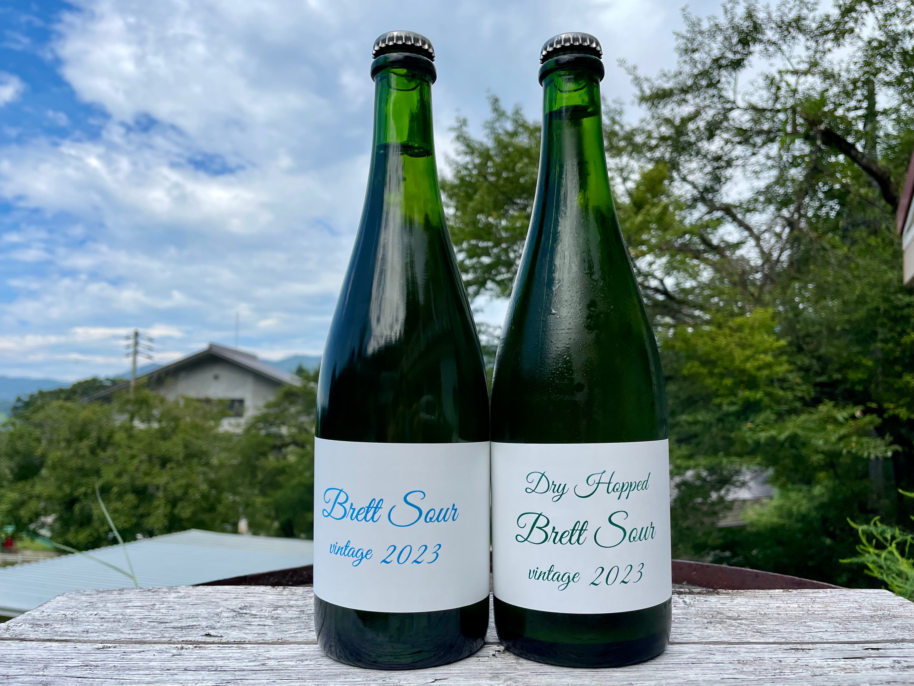 Brett Sour ＆ Dry Hopped Brett Sour 750ml 2本セット