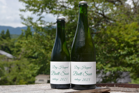 Dry Hopped Brett Sour